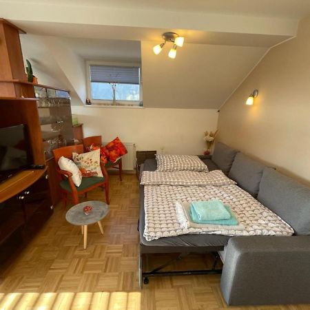 Apartment Kranj - Huge Terrace, Free P, Wi - Fi, Ac Exteriör bild